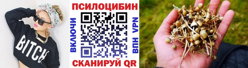 маркетплейс Telegram  Ижевск  Псилоцибиновые грибы прущие грибы 